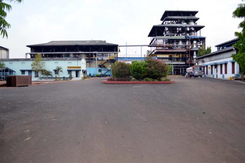 FRONT VIEW OF PLANT AREA